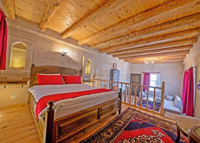 酒店 Asyada 内夫谢希尔