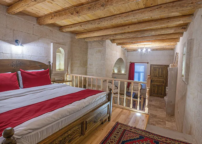 Asyada 酒店 内夫谢希尔